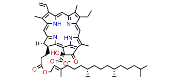 (R)-10-Hydroxypheophytin A